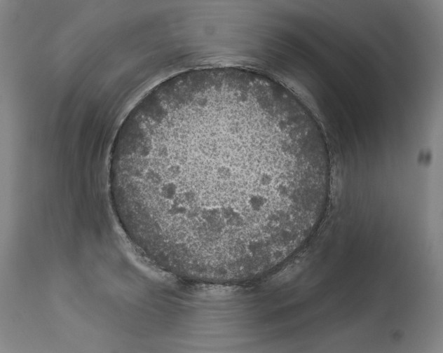 X0000112911039200910051038