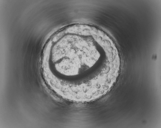 X0000112911040200910051038