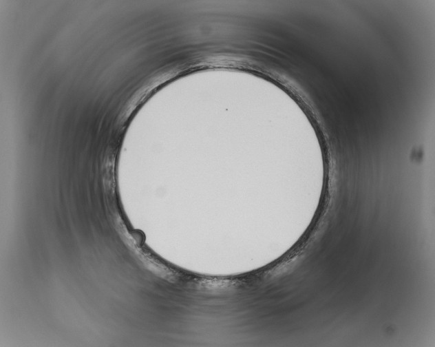 X0000112911041200910051038