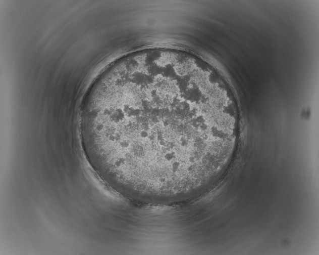 X0000112911043200910051038