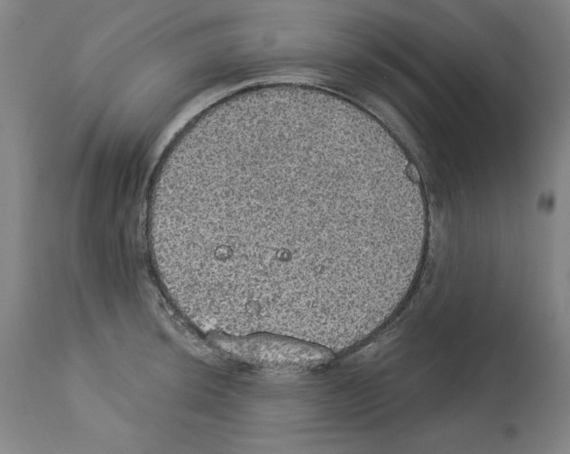X0000112911044200910051038