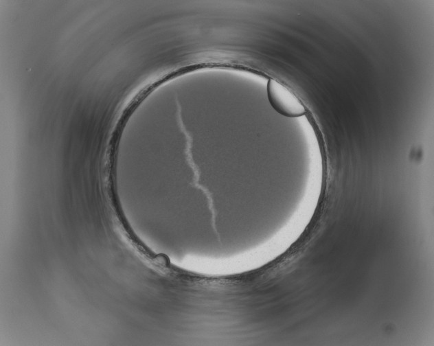 X0000112911045200910051038