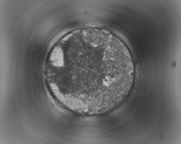 X0000112911047200910051038