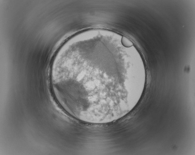 X0000112911048200910051038