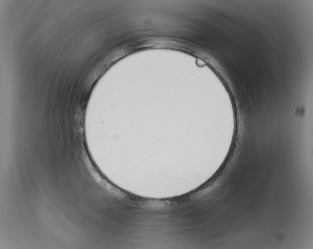 X0000112911049200910051038