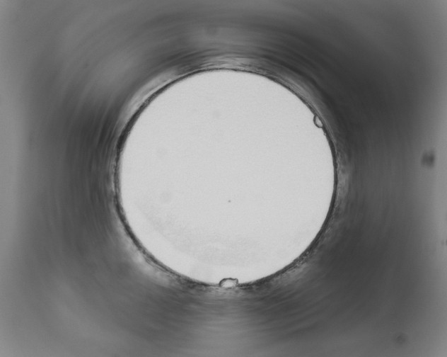 X0000112911050200910051038