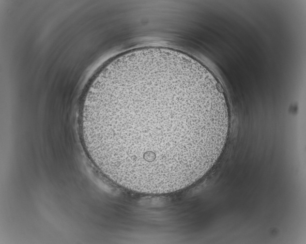 X0000112911051200910051038
