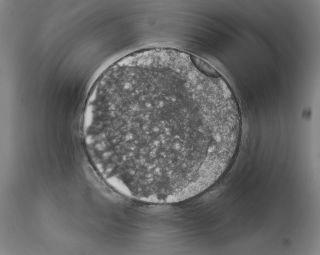 X0000112911052200910051038