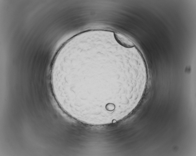 X0000112911053200910051038