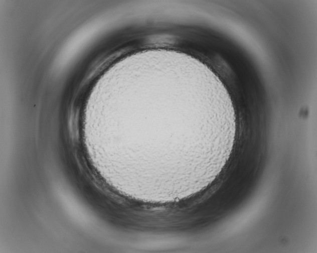 X0000112911054200910051038