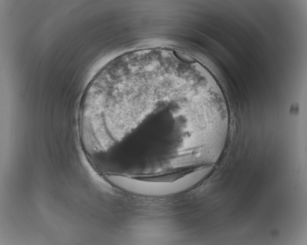 X0000112911055200910051038