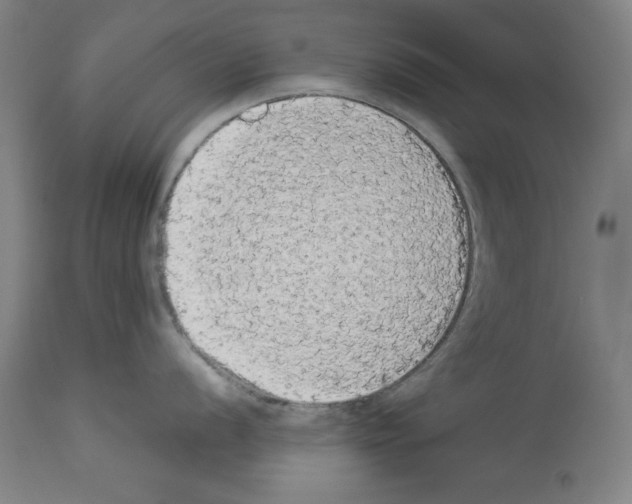 X0000112911056200910051038