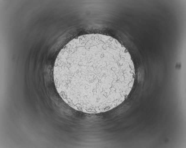 X0000112911059200910051037