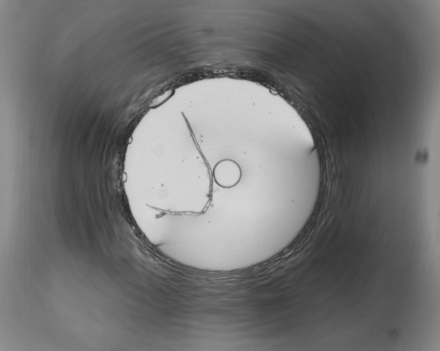 X0000112911060200910051037