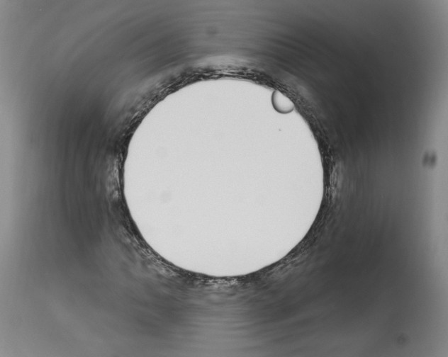 X0000112911062200910051037