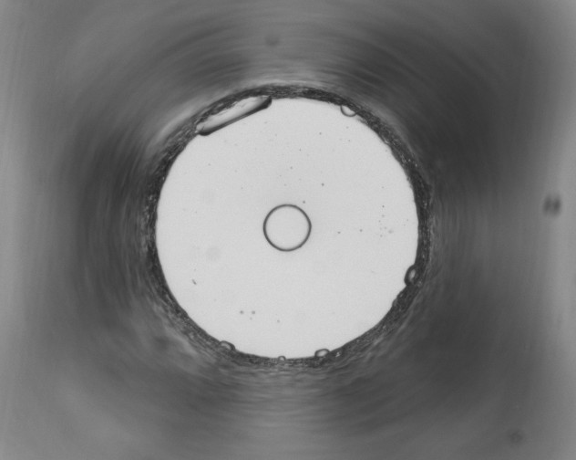 X0000112911064200910051037