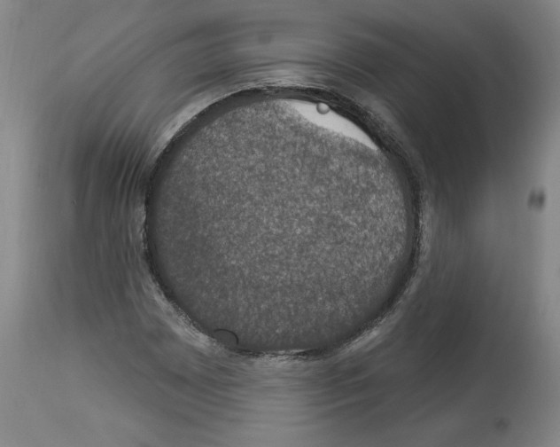 X0000112911065200910051037