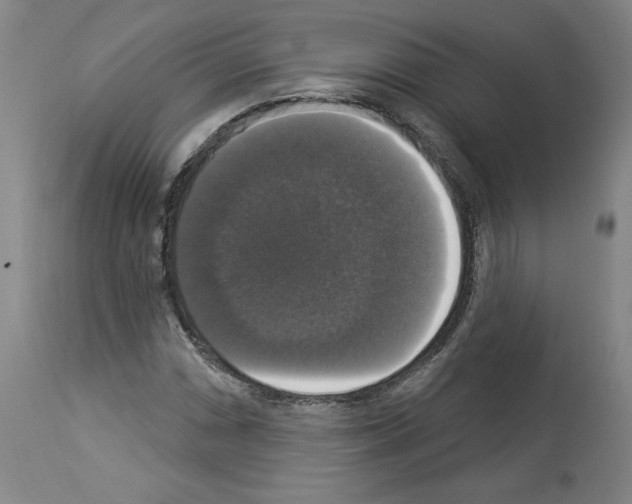 X0000112911066200910051037