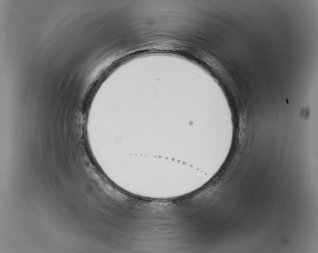 X0000112911067200910051037