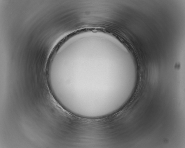X0000112911068200910051037