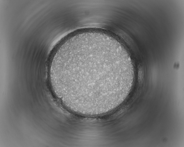 X0000112911069200910051037