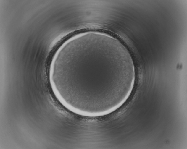 X0000112911070200910051037
