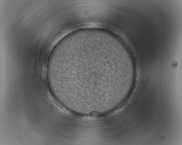 X0000112911073200910051037