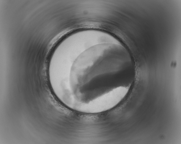 X0000112911074200910051037