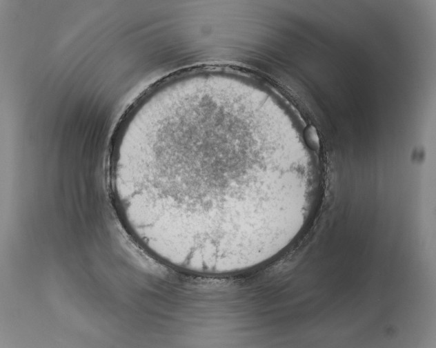 X0000112911076200910051037