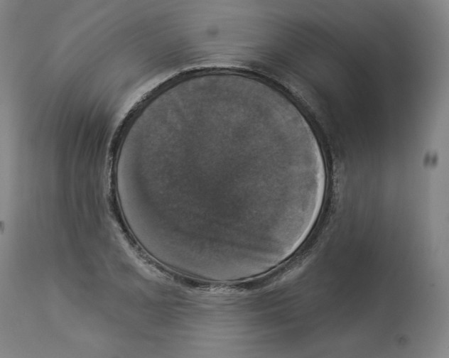 X0000112911077200910051037