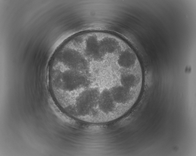 X0000112911078200910051037