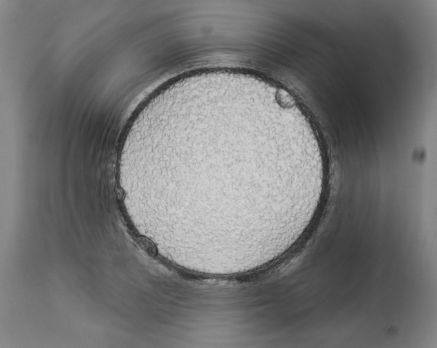 X0000112911081200910051037