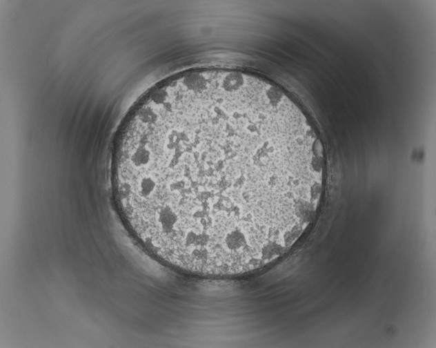 X0000112911083200910051037