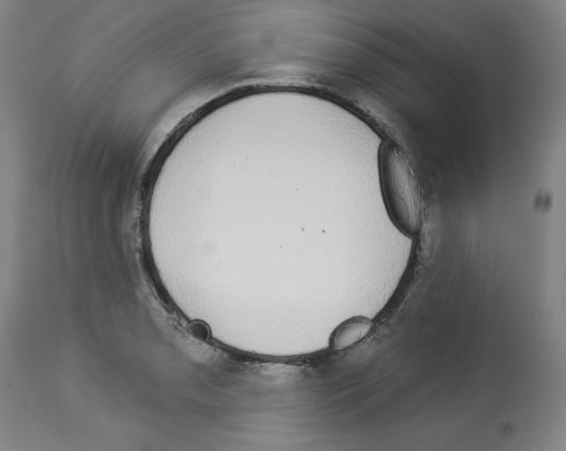 X0000112911085200910051037