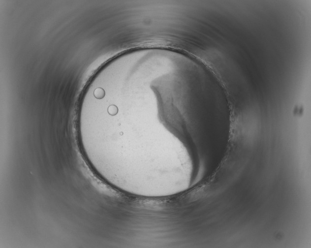 X0000112911086200910051037