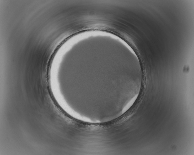 X0000112911087200910051037