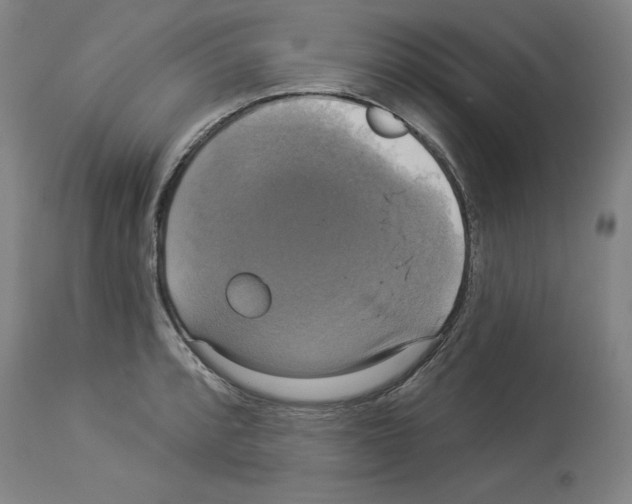X0000112911088200910051037