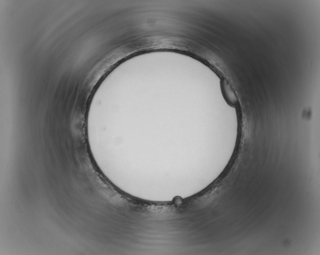 X0000112911089200910051037