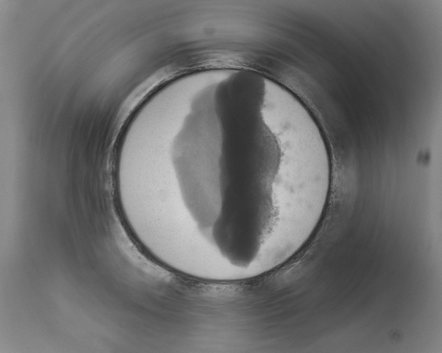 X0000112911090200910051037