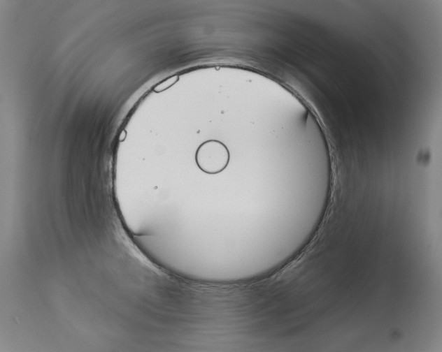 X0000112911092200910051037