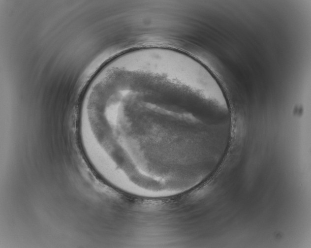 X0000112911094200910051037