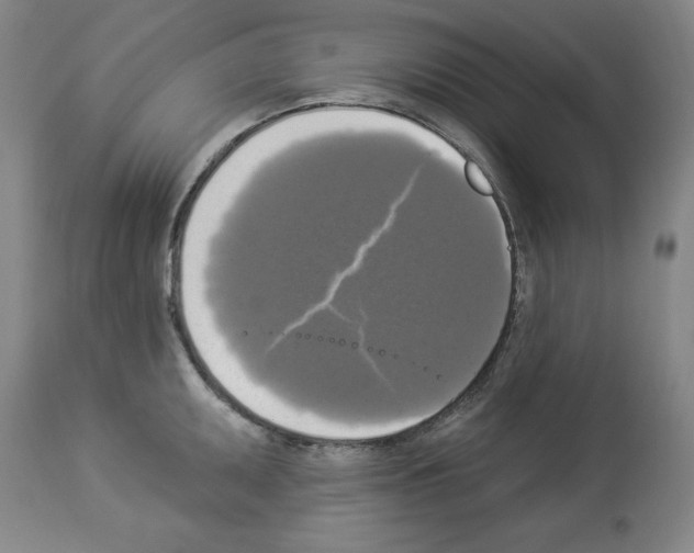 X0000112911095200910051037