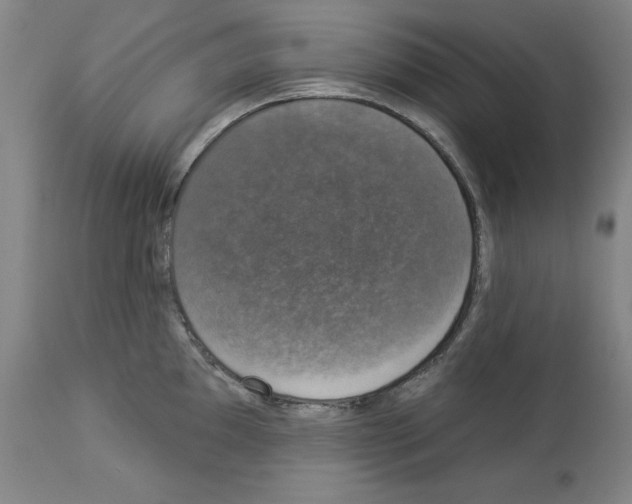 X0000112911097200910051037