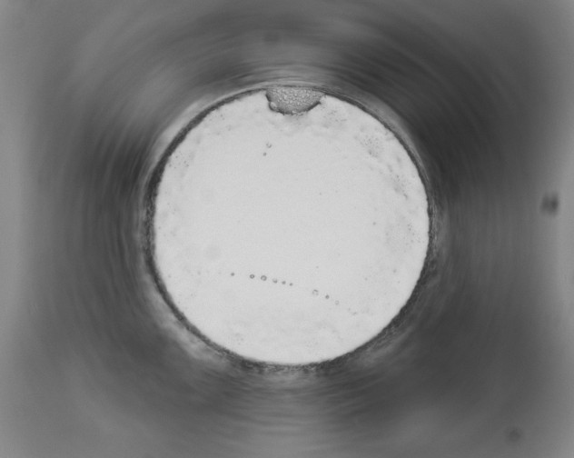X0000112911099200910051037