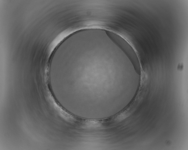 X0000112911101200910051036