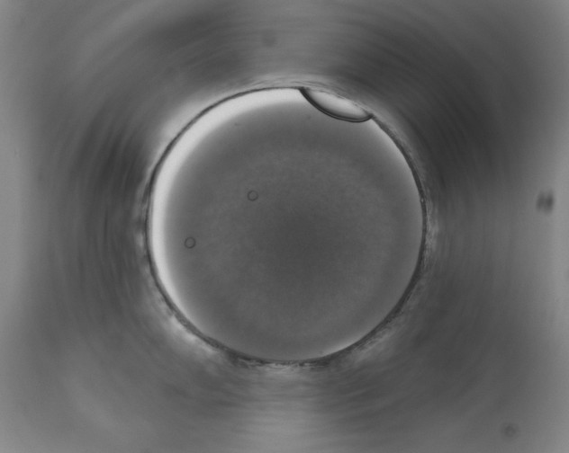 X0000112911102200910051036