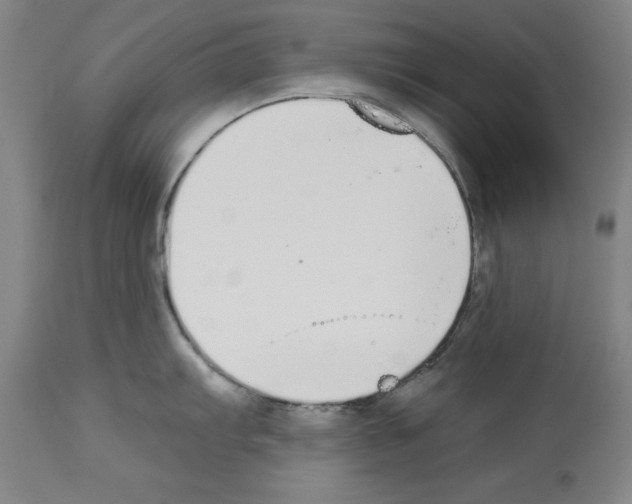 X0000112911103200910051036