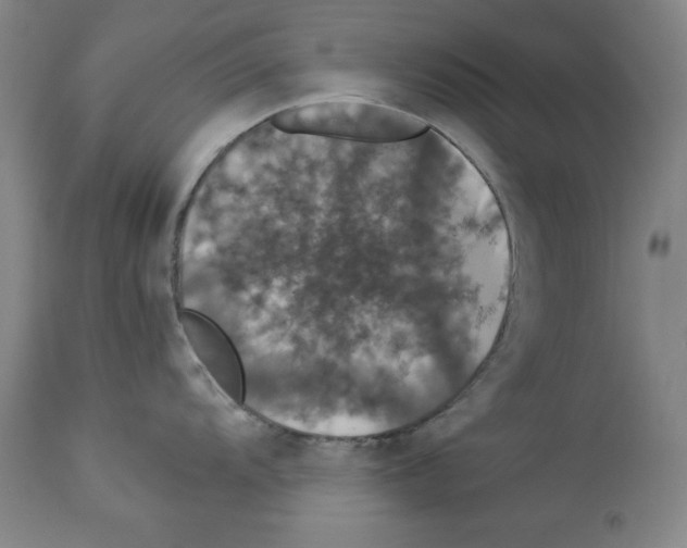 X0000112911104200910051036