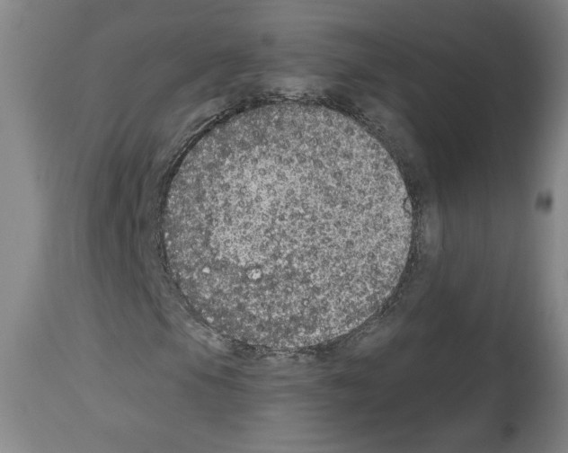 X0000112911105200910051036