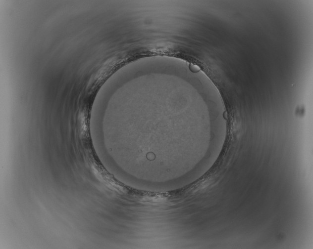 X0000112911106200910051036
